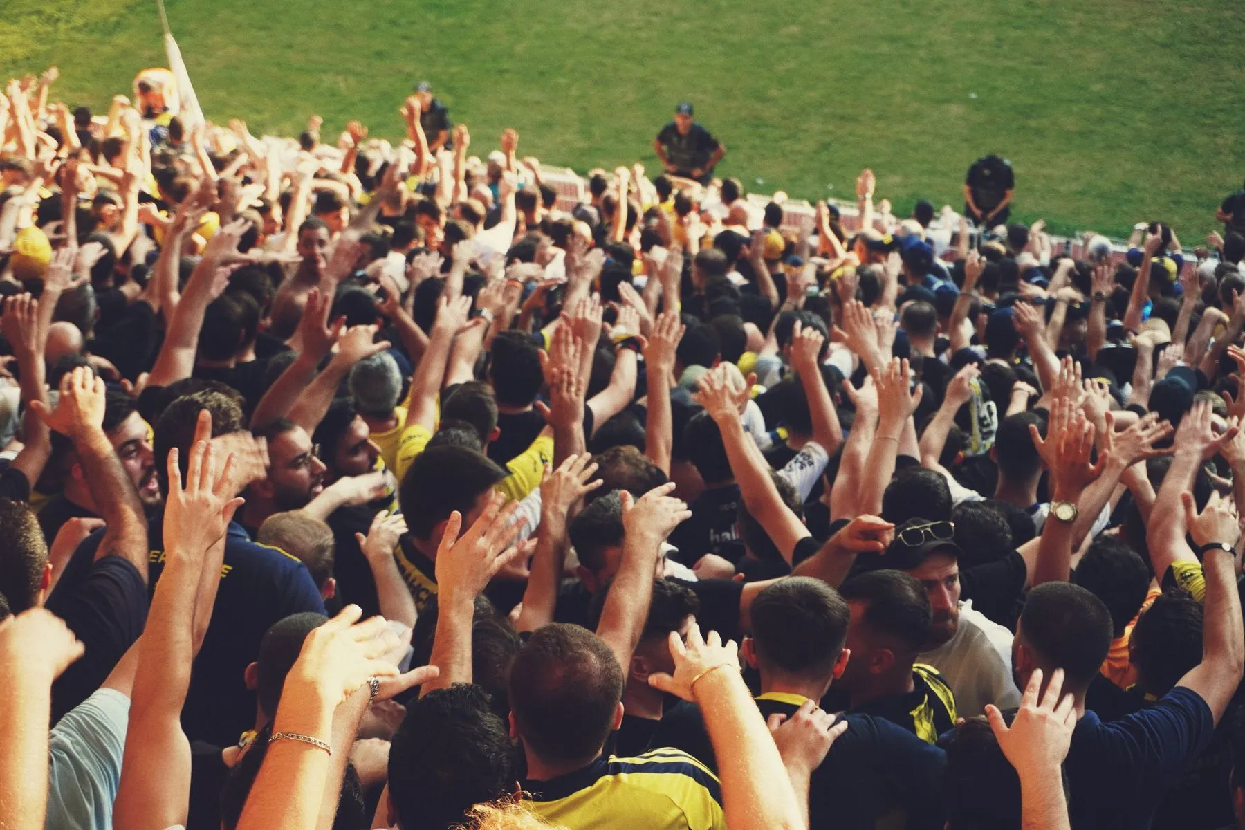 An audience with hands raised at a live event